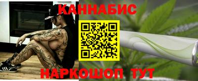 стаф Дубна