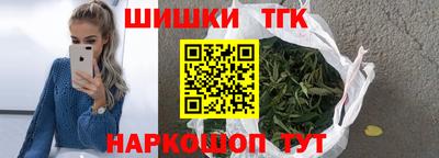 стаф Дубна
