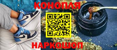 гидропоника Донской