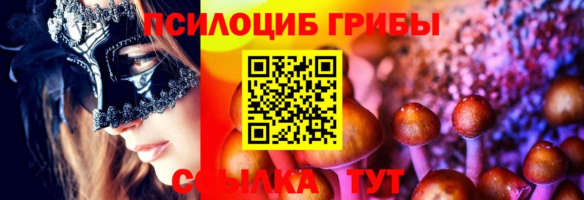 Майский  Галлюциногенные грибы Psilocybine cubensis  Вход с VPN  Псилоцибиновые грибы ЛСД 